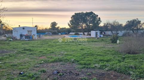 Foto 2 de Finca rústica en venda a Carmona, Sevilla