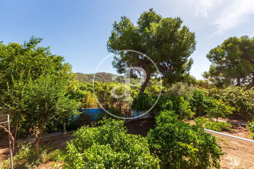 Casa o chalet en venta en Centro - El Castillo