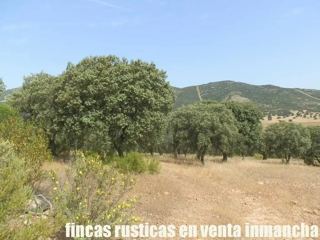 Terreny rústic en venda a Alcolea de Calatrava, imagen 20