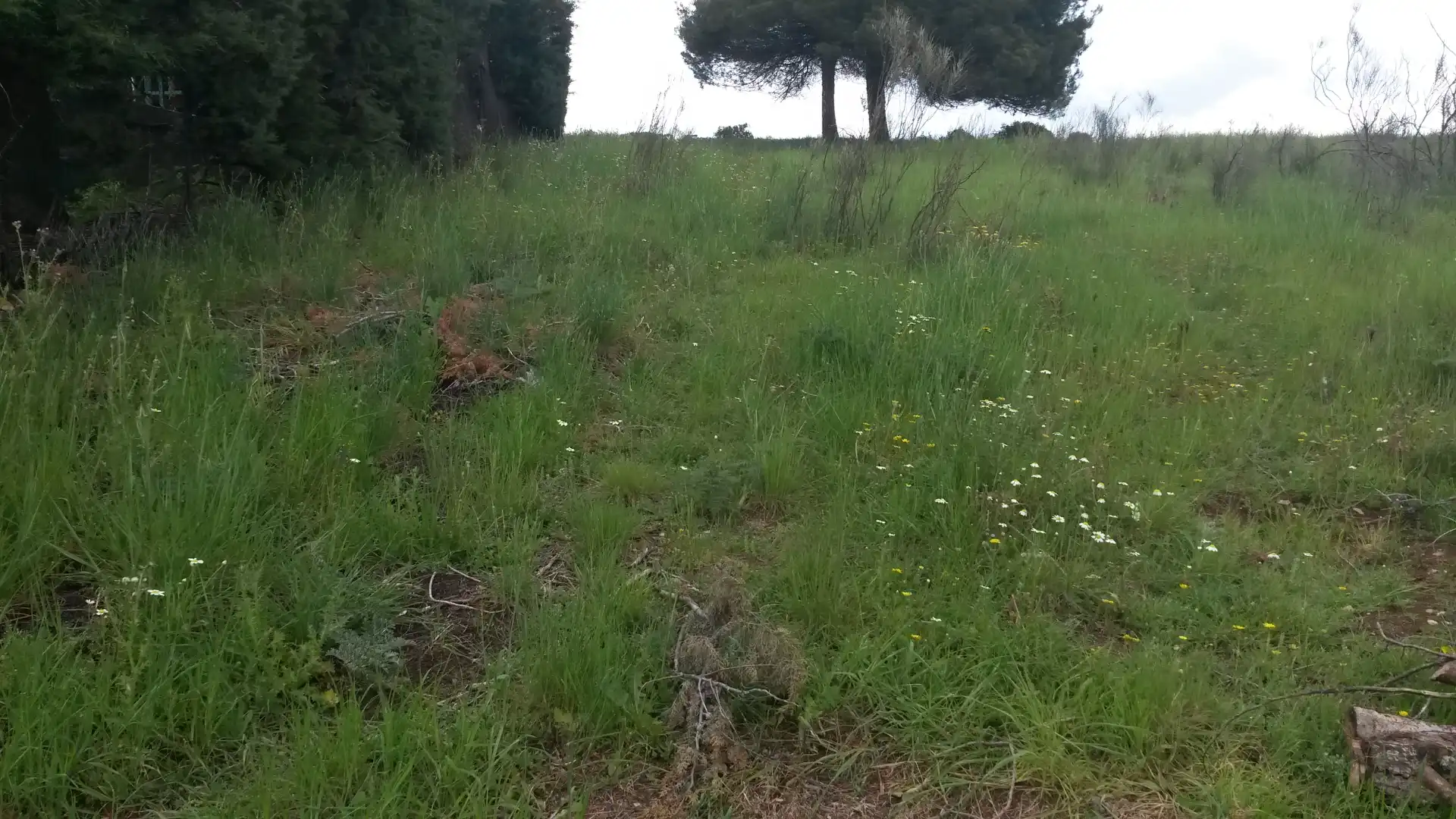 Wohnbaugrundstück zum Verkauf in Calle de los Santos 10, imagen 5