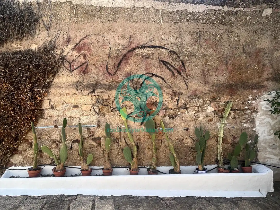 Maison avec terrasse à vendre à Calle Ronda de Muñoz Torrero, imagen 15