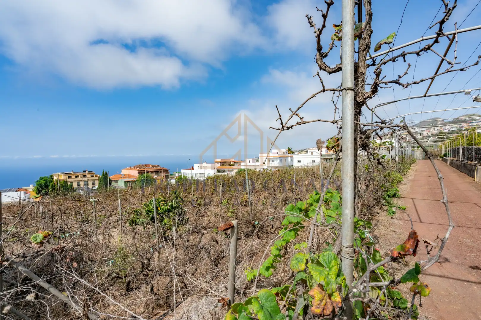 Terreno residencial en venta en Calle Vista Alegre 3, imagen 7