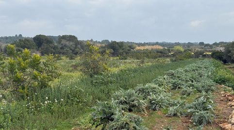 Finca Rúst. en venta en Torredembarra., imatge 2