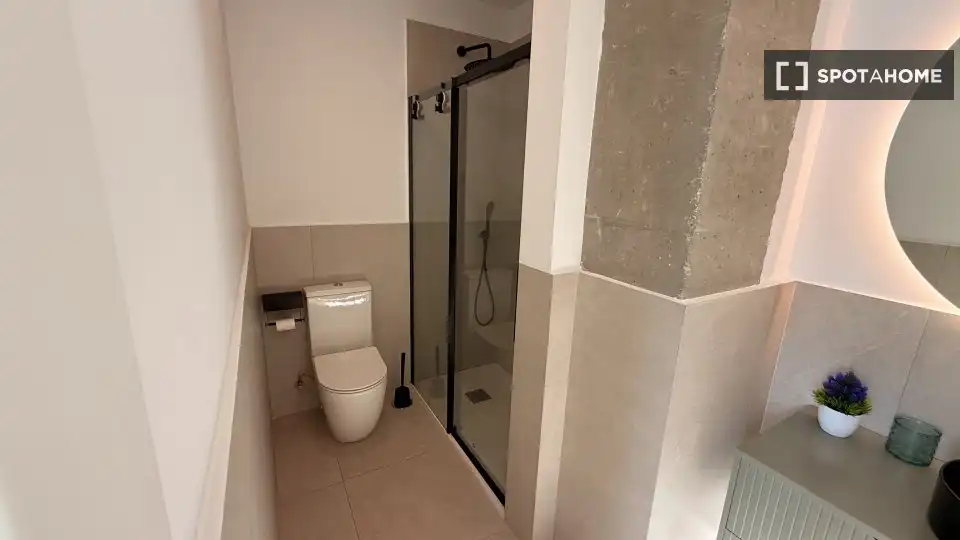 Bathroom of Flat for rent in Madrid  with Air Conditioner, Heating and Furnished