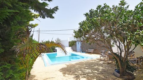 Foto 2 de Casa o chalet en venta en Carretera Cambalud, Firgas, Las Palmas