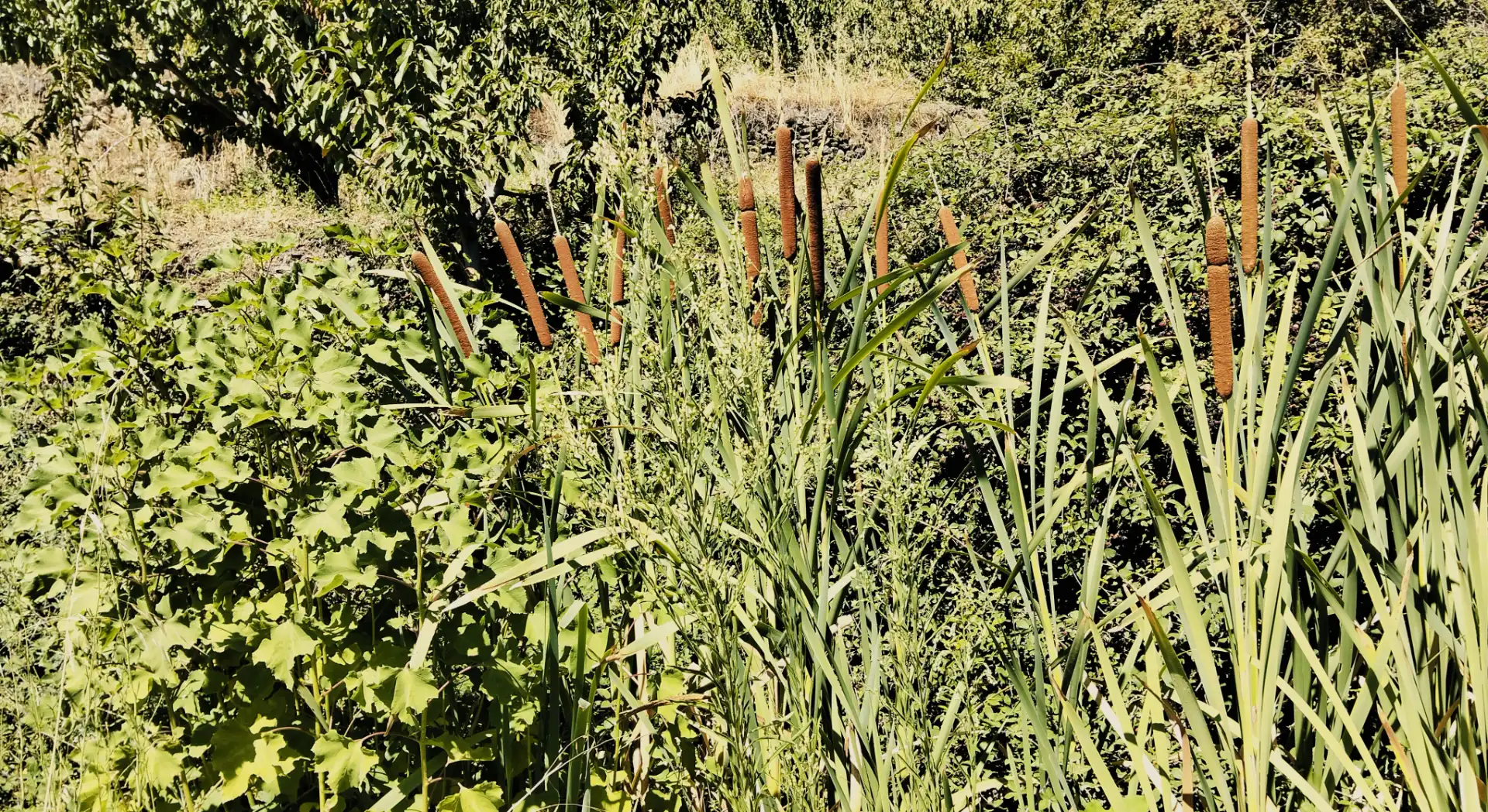 Terreni e lotti in vendita a N/A, imagen 8