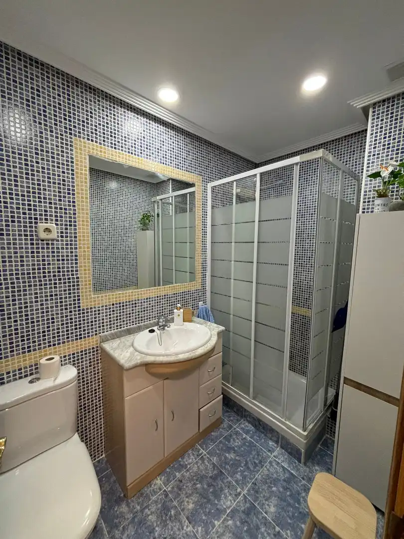 Bathroom of Apartments for rent in Madrid  with Air Conditioner, Heating and Terrace