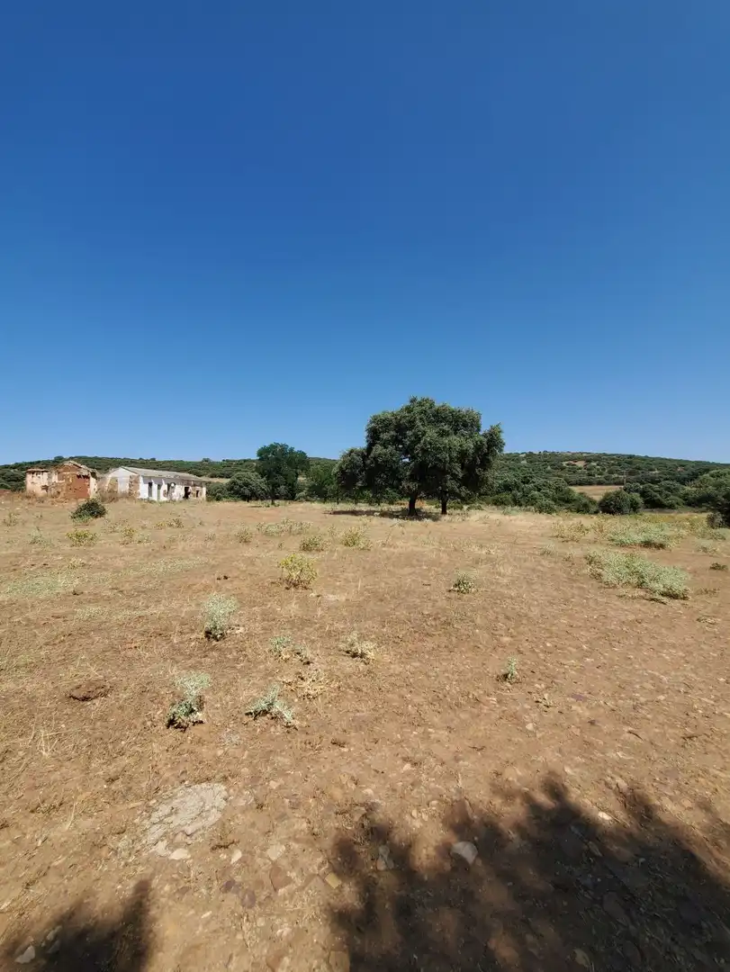 Casa rústica en venda a Malagón, imagen 7