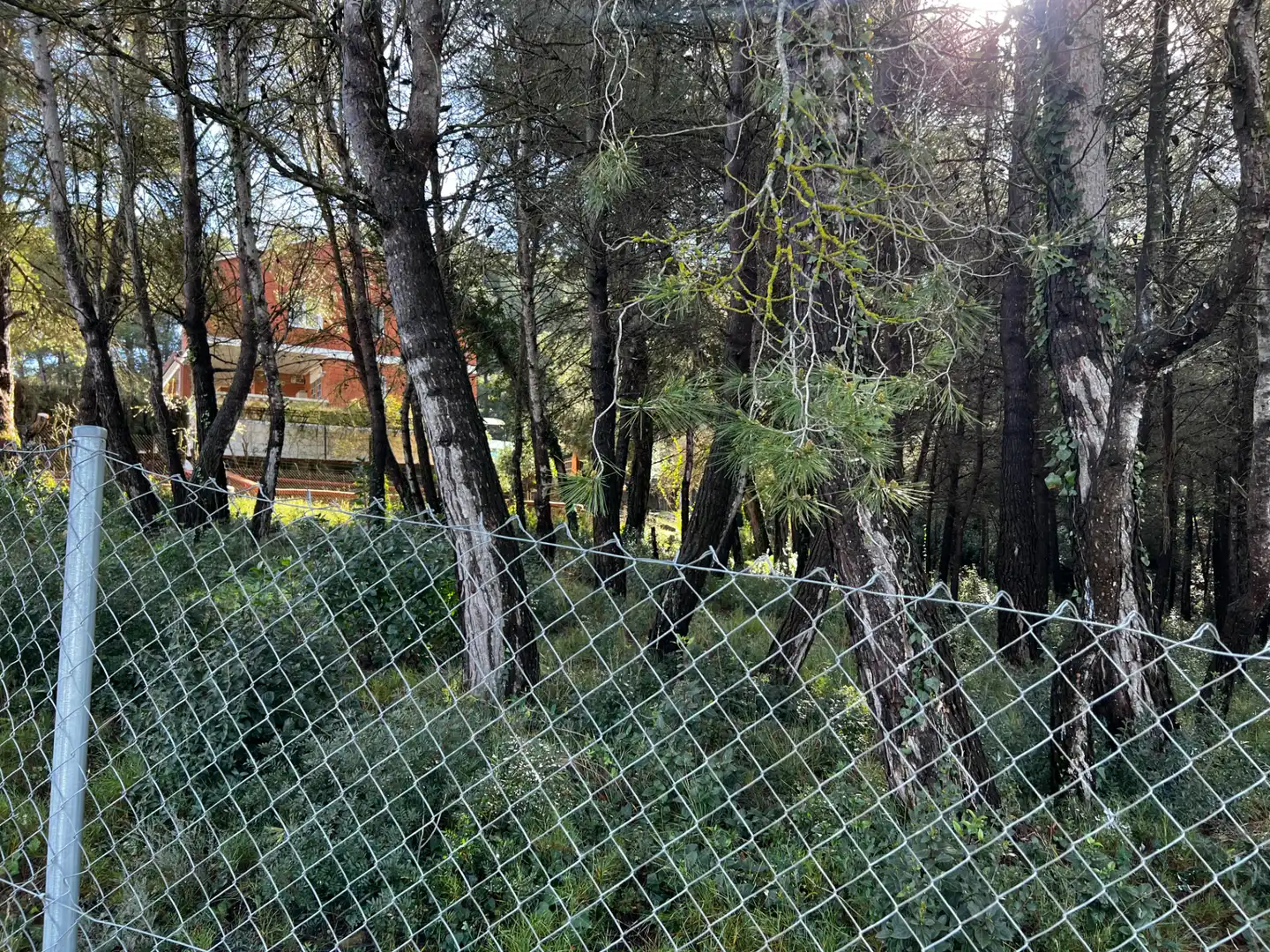 Residencial en venda en Olesa de Bonesvalls