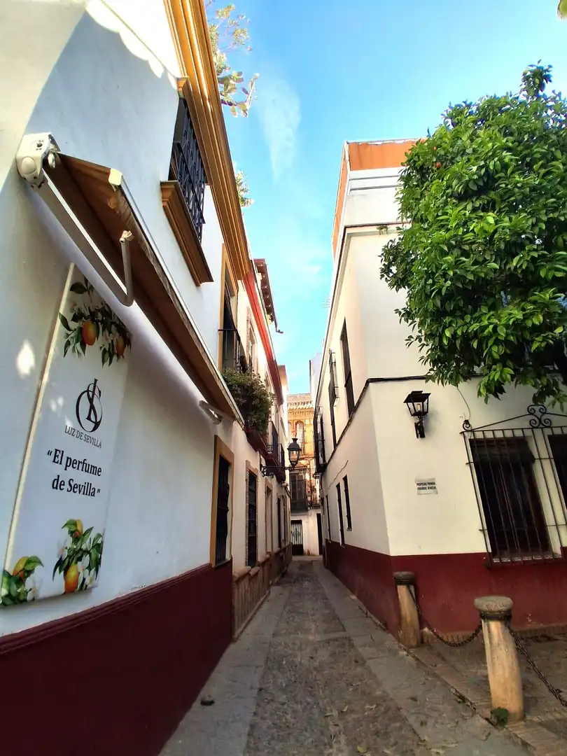 Vista exterior de Pis en venda en Sevilla amb Aire condicionat, Calefacció i Parquet