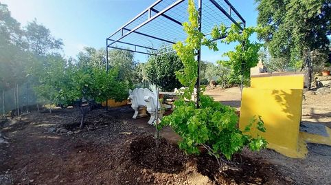 Foto 4 de Finca rústica en venda a El Pedroso, Sevilla