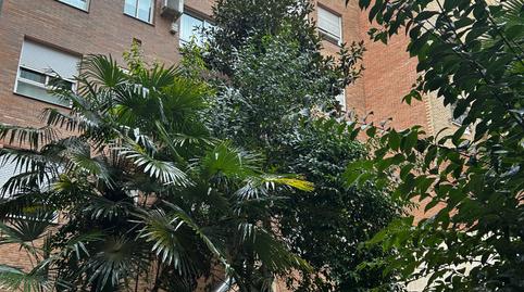 Foto 2 de Pis de lloguer a Palos de Moguer, Madrid