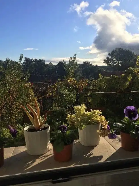 Xalet amb jardí en venda a El Tiemblo, imagen 9