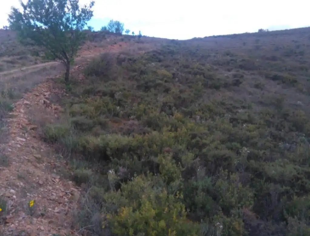 Terreno rustico in vendita a BORBOJON, imagen 10