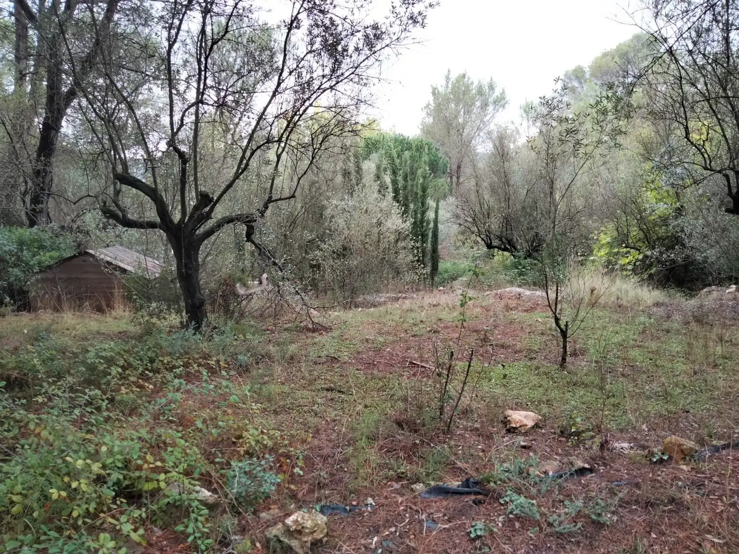 Rural land for sale in Vilallonga / Villalonga, imagen 9