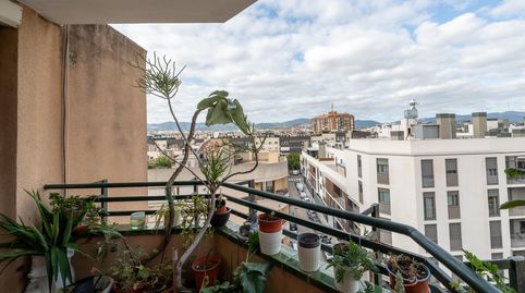 Foto 3 de Piso en venta en Plaça de Toros, Palma de Mallorca