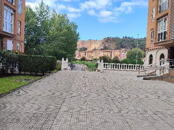 Appartement avec piscine à vendre à Calle San Martín del Pino, imagen 12
