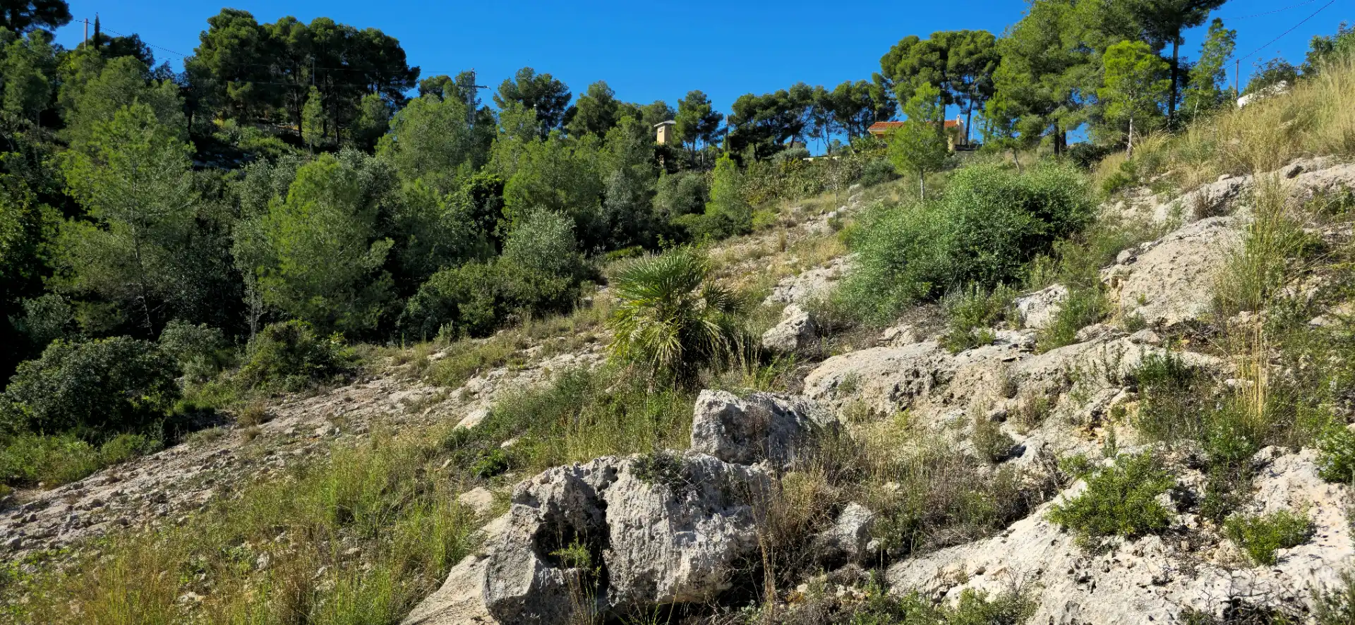 Wohnbaugrundstück zum Verkauf in Calle C/2 Lloma Molina 31, imagen 27