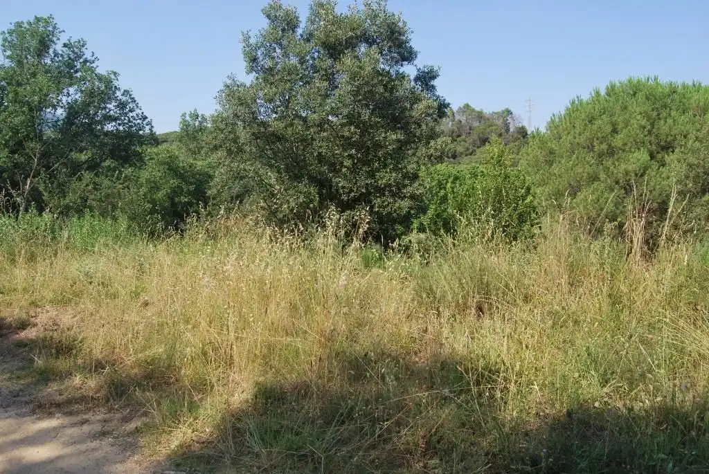 Terreny rústic en venda a Sant Celoni, imagen 37