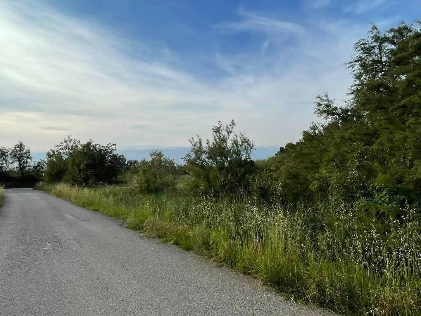 Rural land for sale in Sant Pere Pescador, imagen 30