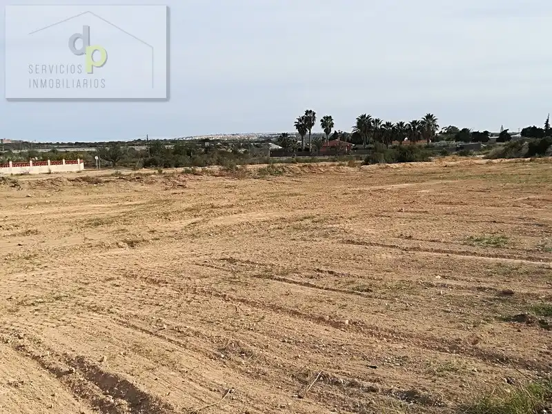Terreno rustico in affitto a Camino del Cementerio 183, imagen 10