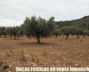 Grundstücke zum verkauf in Almansa