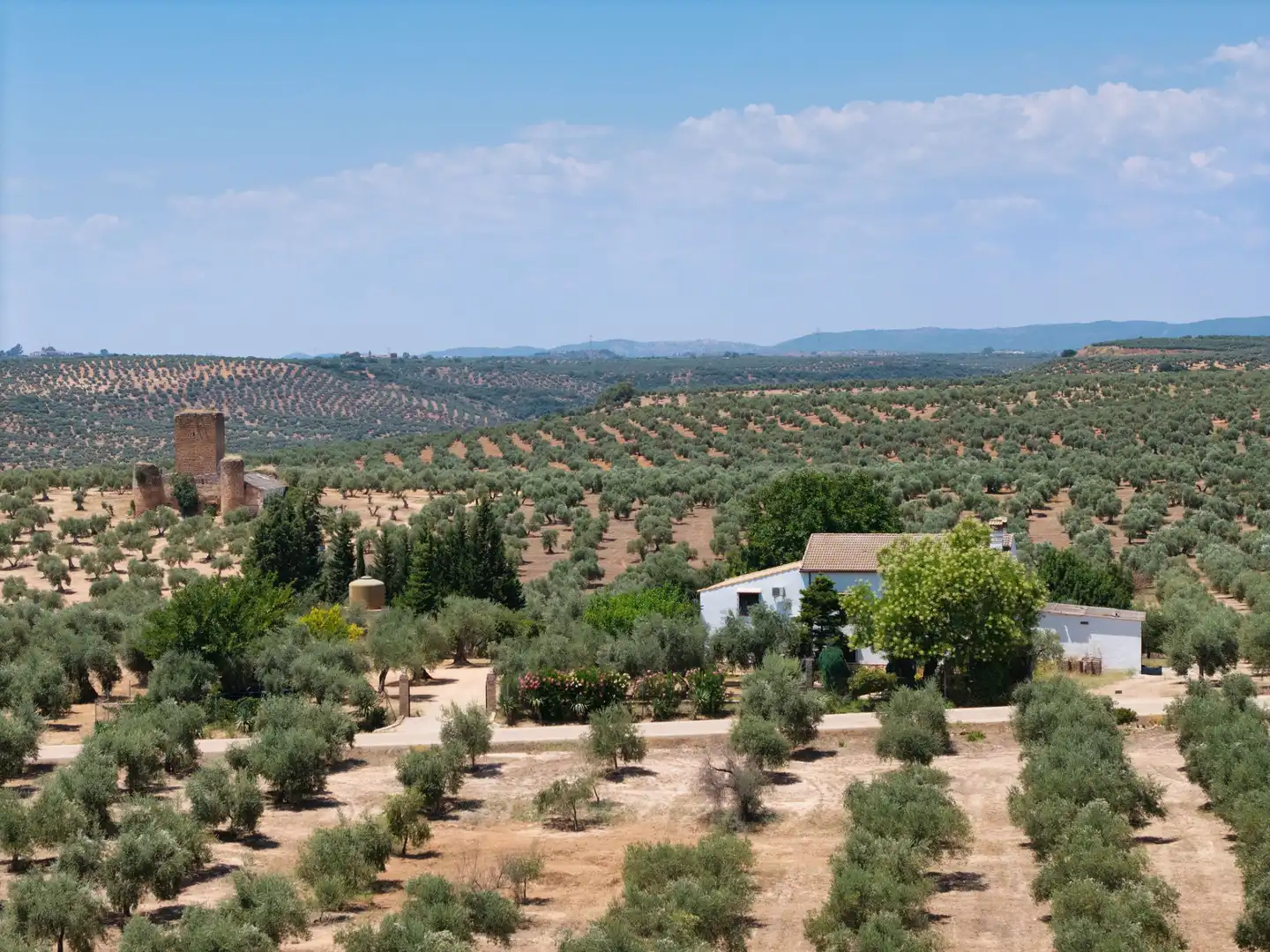 Jardín de Casa o chalet en venta en Marmolejo con Aire acondicionado, Jardín privado y Terraza