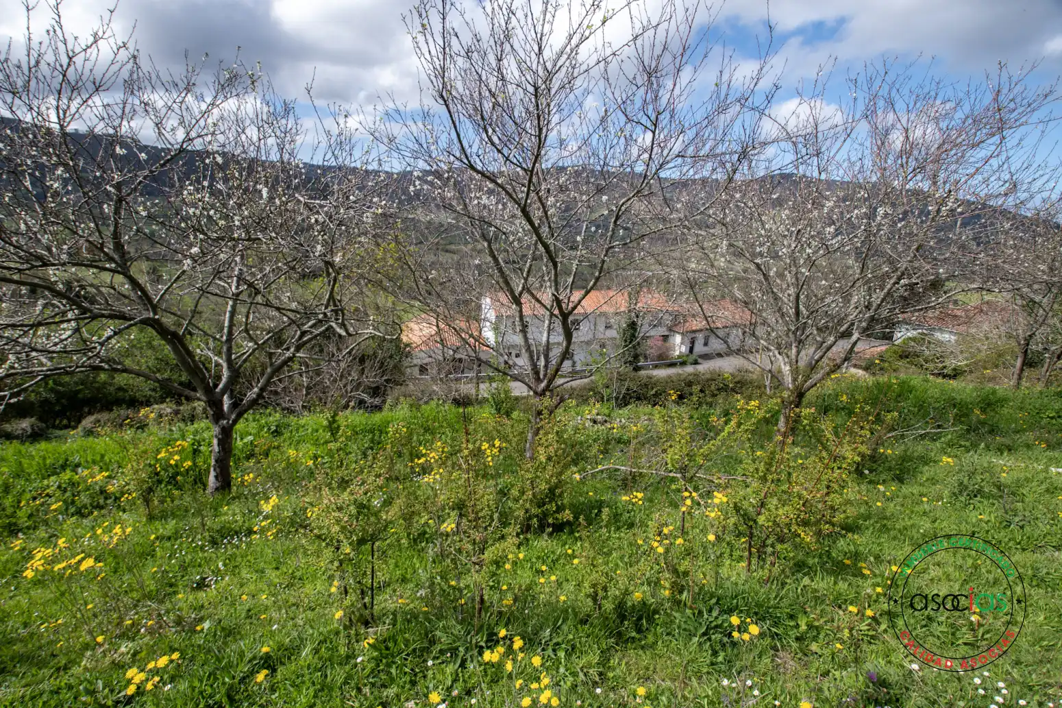 Casa a schiera in vendita a Parroquias suroccidentales, imagen 15
