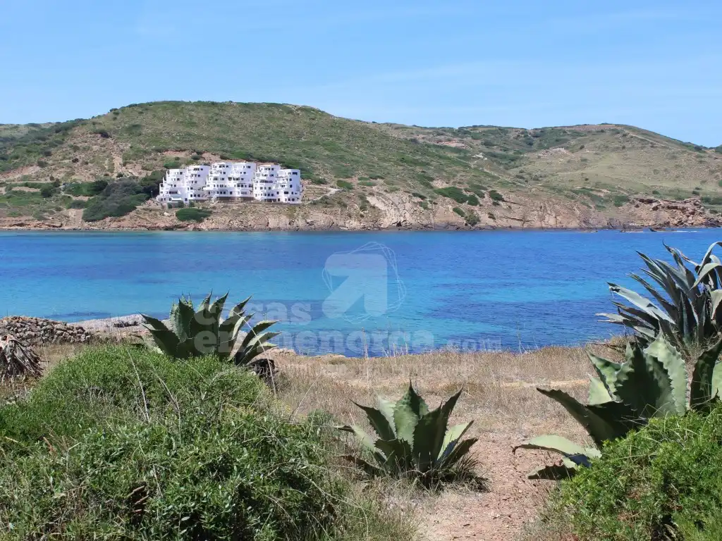 Casa o xalet en venda en Es Mercadal amb Jardí privat