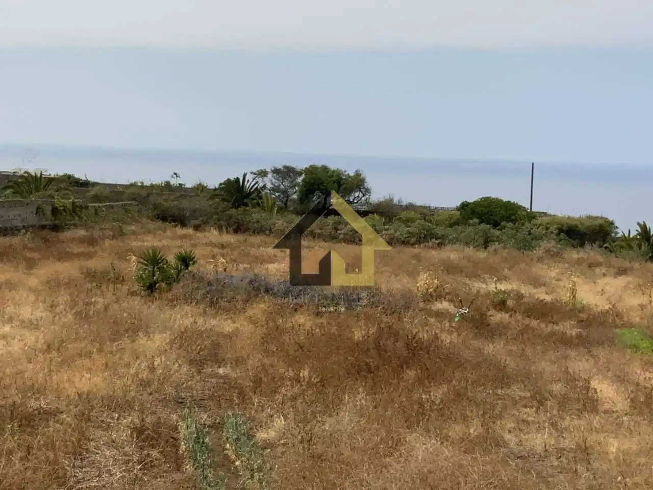 Rural land for sale in Camino Cueva del Rey 12, imagen 19