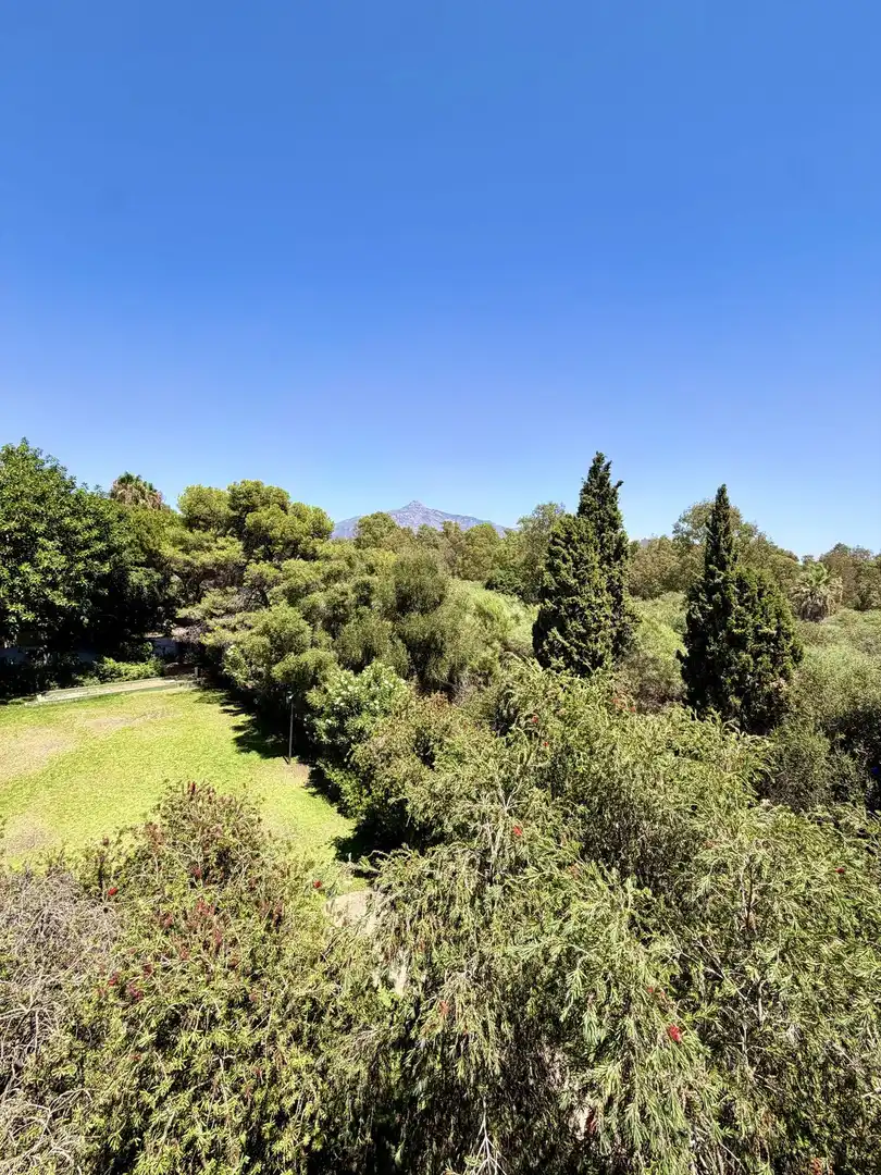 Apartament amb ascensor en venda a Nueva Andalucía, imagen 11