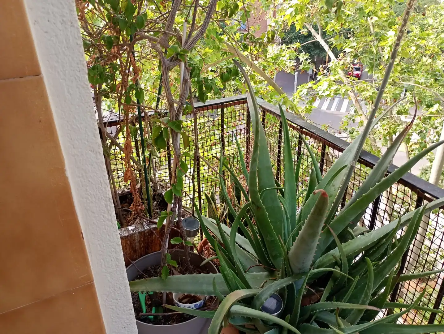 Terraza de Piso en venta en Barcelona con Aire acondicionado, Calefacción y Balcón