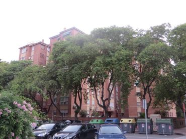 Pis en venda a Villa De Letur 2