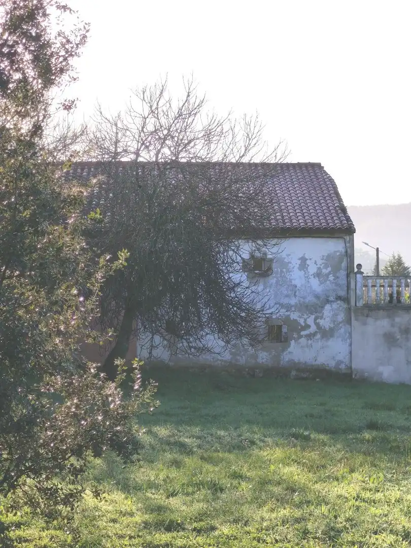 Vista exterior de Casa o xalet en venda en Ribamontán al Monte