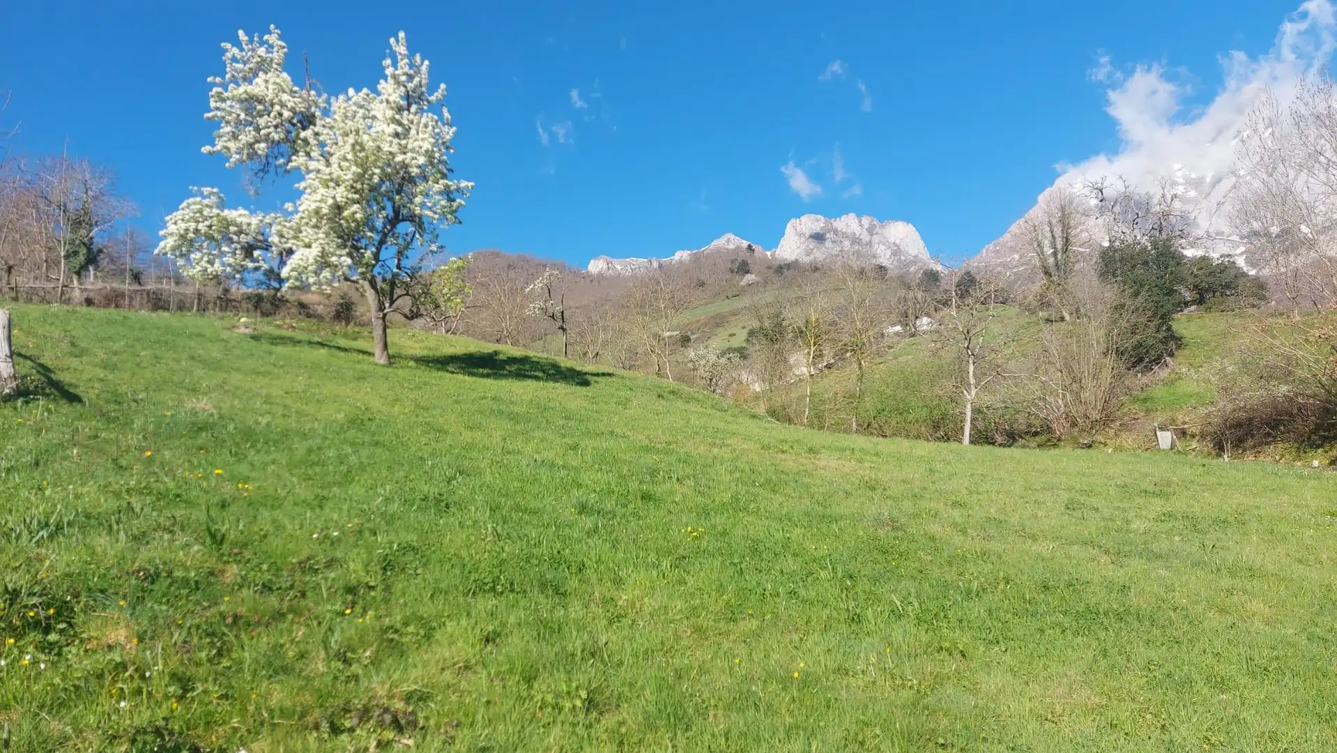 Terreni e lotti in vendita a Camaleño