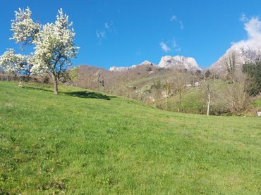 Terreno rustico in vendita a Camaleño