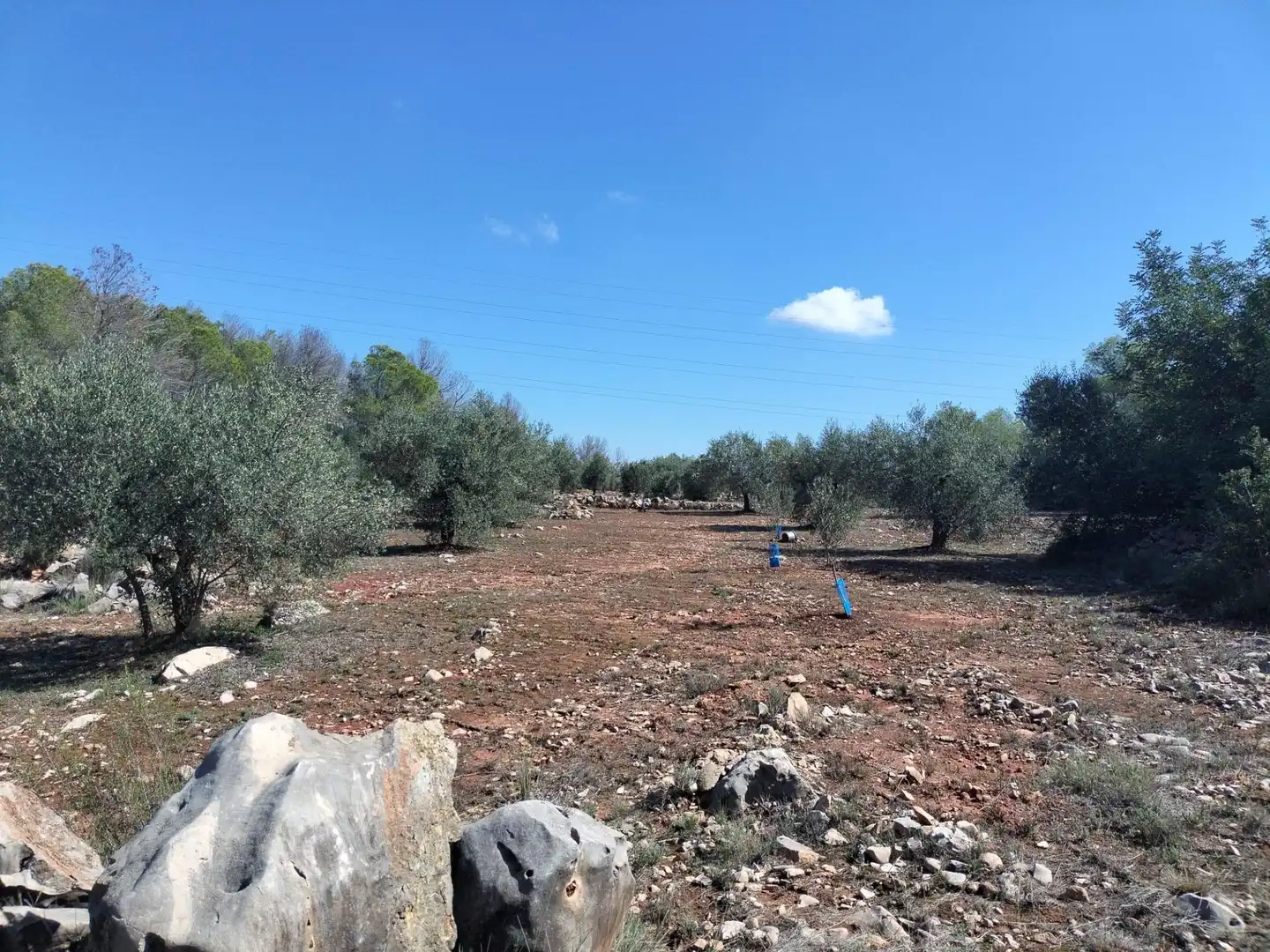 Rustikales Grundstück zum Verkauf in Xàtiva, imagen 2