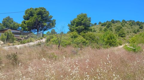 Foto 3 de Terreny en venda a Zarzadilla de Totana, Lorca
