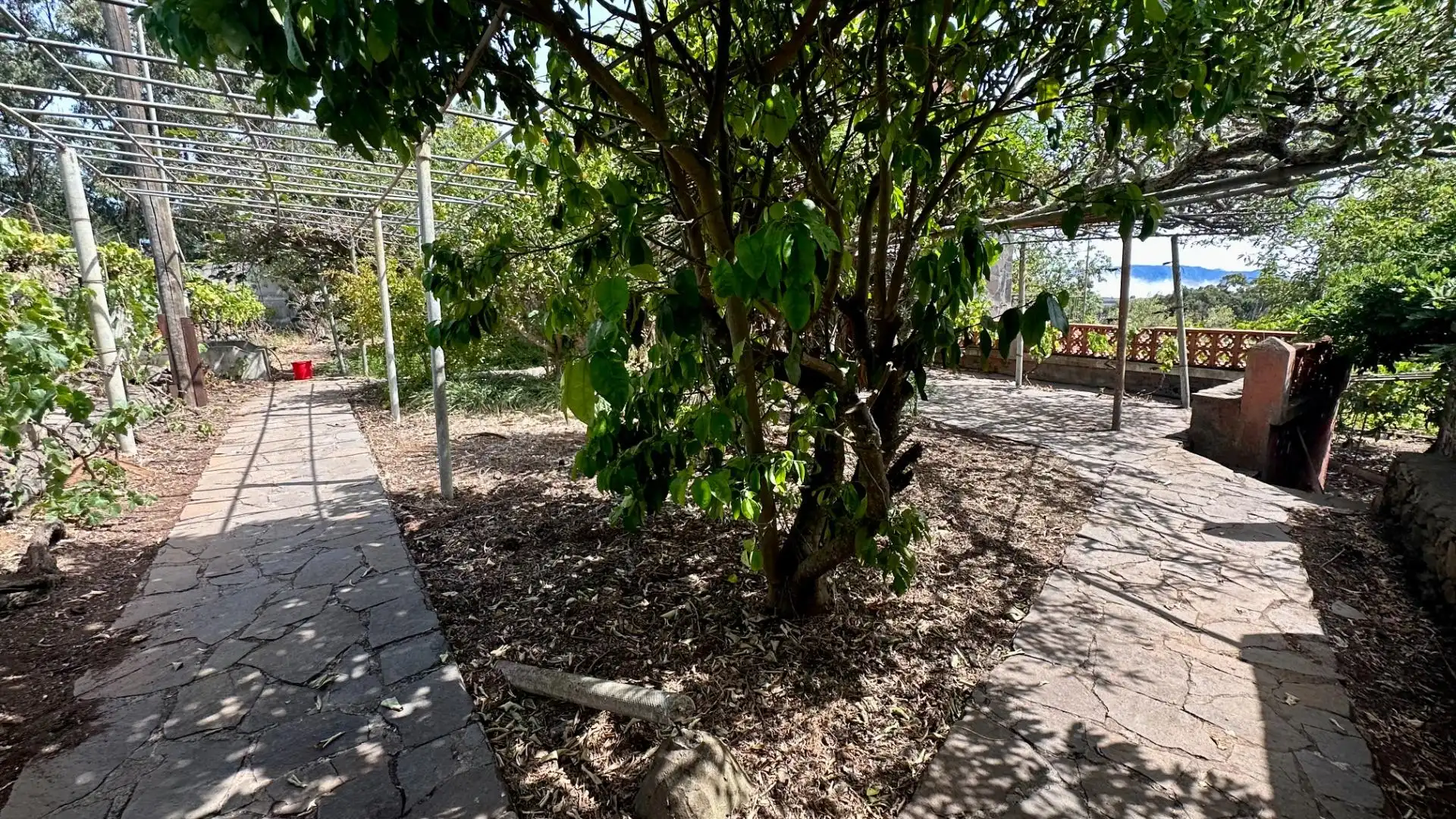 Jardín de Finca rústica en venta en El Rosario con Jardín privado, Terraza y Alarma