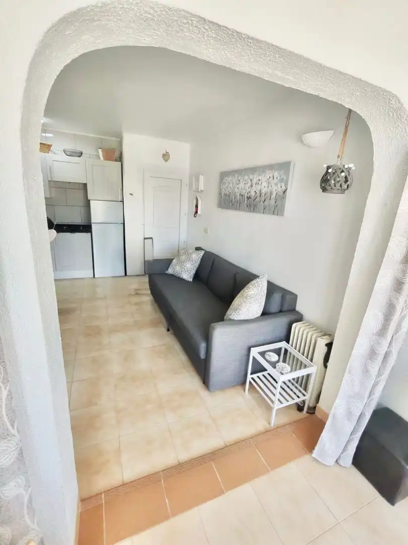Living room of Apartments for rent in Torrevieja  with Air Conditioner, Furnished and Balcony