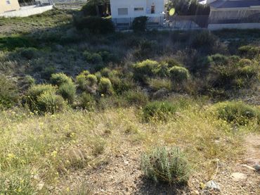 Terreno residenziale in vendita a Altorreal - El Chorrico