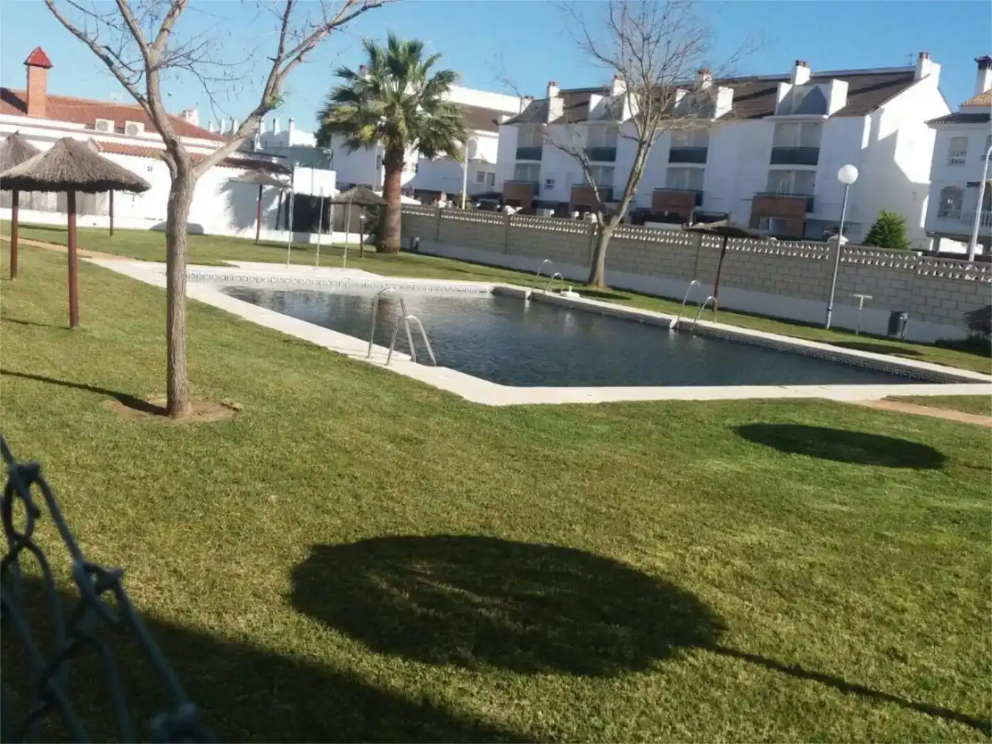 Swimming pool of Flat for rent in El Portil