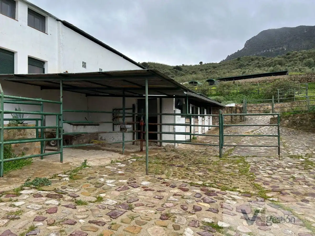 Country homes for sale in El Gastor