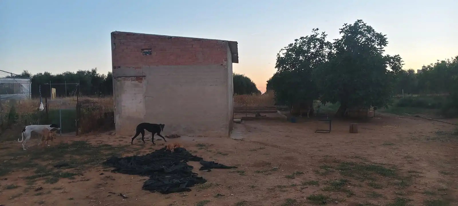 Terreny rústic en venda a Calle Écija, imagen 4