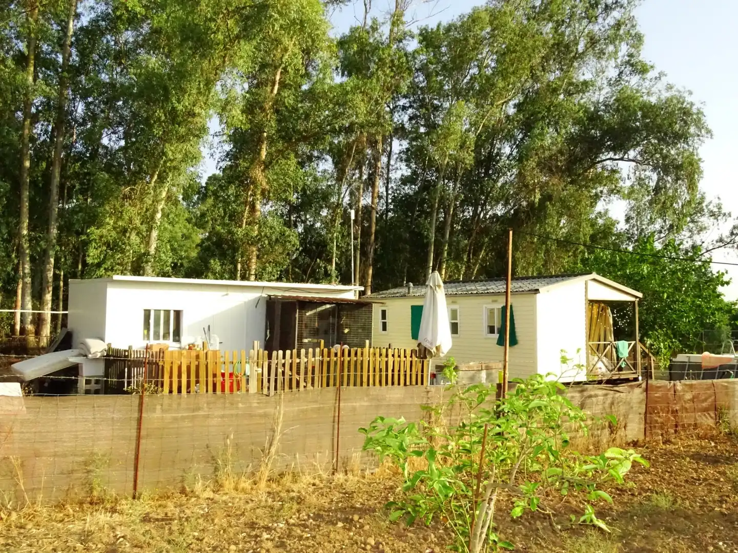 Chalet con piscina en venta en Carmona, imagen 13