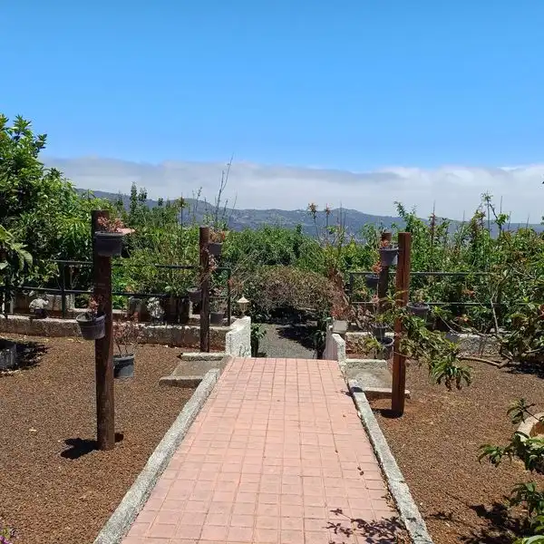 Villa con terrazza in vendita a La Bodeguilla 29, imagen 15