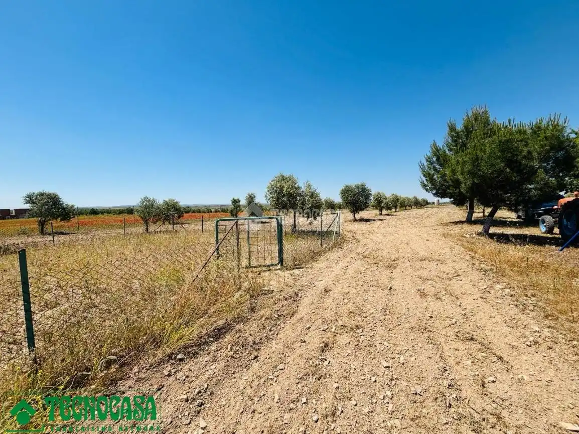 Land for sale in Mascaraque