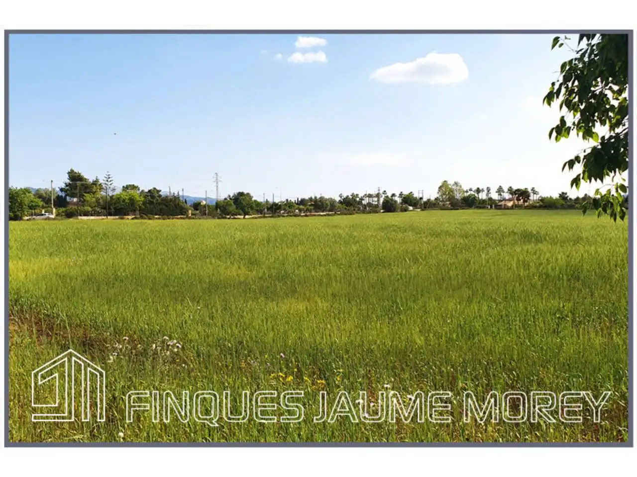 Residential for sale in Inca