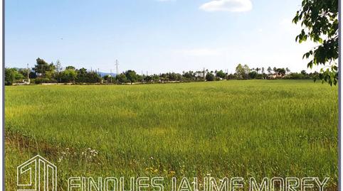 Foto 5 de Residencial en venda a Poligono 1, Sn, Centro, Illes Balears