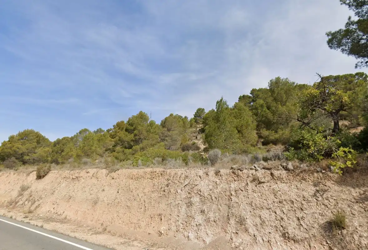 Terreny residencial en venda a Foya Del Cac, imagen 13
